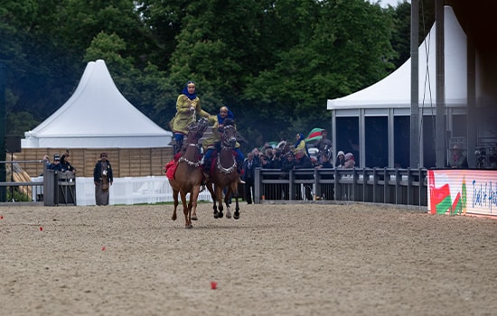 royal cavalry of oman shines at royal windsor horse show 2025 a