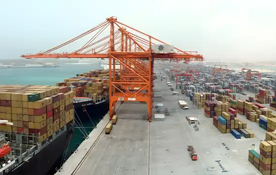 Investment Incentives in Salalah Free Zone 0