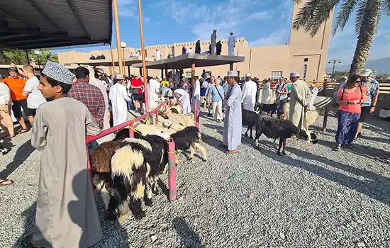 نزوی عمان | تسجيل الشركة في عُمان | الاقامه فی عمان | استثمار في عمان