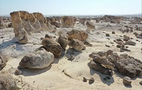 The Special Economic Zone at Duqm SEZD20
