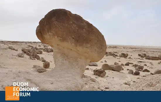 The Special Economic Zone at Duqm SEZD22