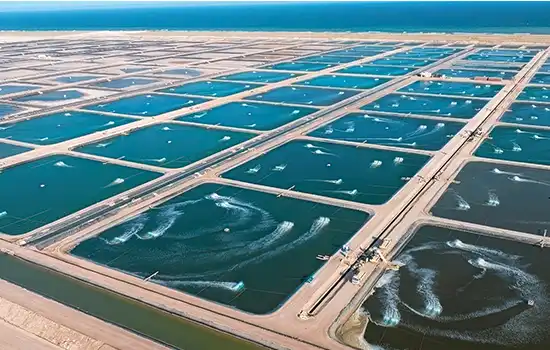 حضور عمان در مجمع جهانی شیلات، نمایشگاه غذاهای دریایی 11 حضور عمان در مجمع جهانی شیلات، نمایشگاه غذاهای دریایی