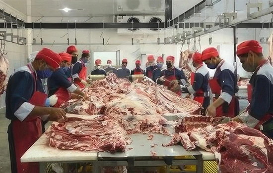 تولید دام زنده در ایران: فراز و نشیب‌های بازار گوشت | صادرات گوشت قرمز ایران به کشورهای حاشیه خلیج فارس | واردات گوشت کنیایی و پاکستانی: تأثیر بر بازار داخلی | قیمت‌های گوشت در ایران: افزایش و نگرانی‌ها | چالش‌های بازار دام و گوشت در ایران و راهکارهای ممکن | واردات و تأثیر آن بر قیمت گوشت داخلی | نقش دولت در مدیریت بازار گوشت و دام در ایران | پتانسیل صادرات دام زنده و گوشت ایران به بازارهای بین‌المللی