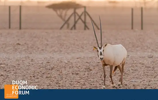 1The Special Economic Zone at Duqm SEZD2