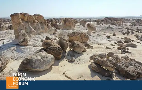 The Special Economic Zone at Duqm SEZD14