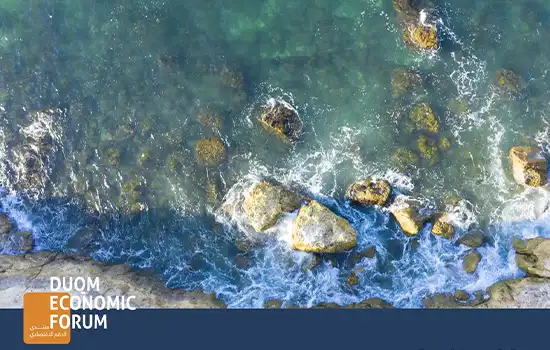 The Special Economic Zone at Duqm SEZD15