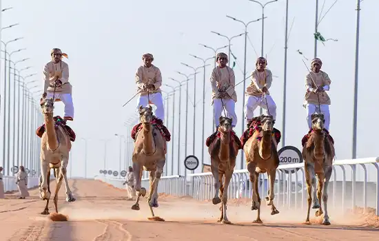 هنر پرورش شتر عمان به فهرست میراث جهانی ایسیسکو پیوست 4 camel breeding oman isesco world heritage 2