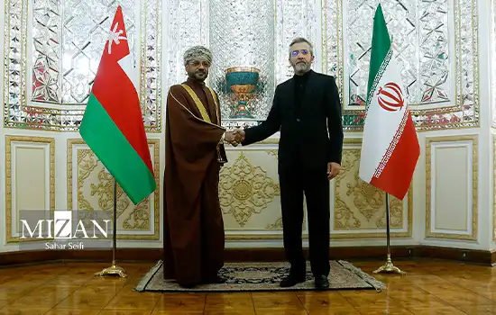 The meeting of the Minister of Foreign Affairs of Oman with the Acting Minister of Foreign Affairs