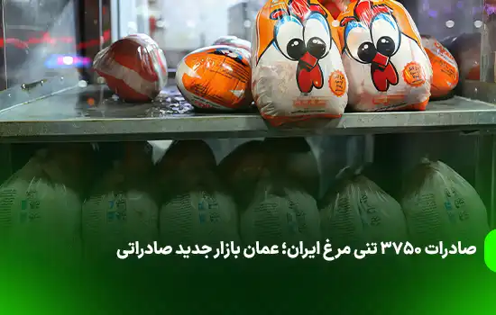 صادرات ۳۷۵۰ تنی مرغ ایران؛ عمان بازار جدید صادراتی 10 صادرات ۳۷۵۰ تنی مرغ ایران؛ عمان بازار جدید صادراتی