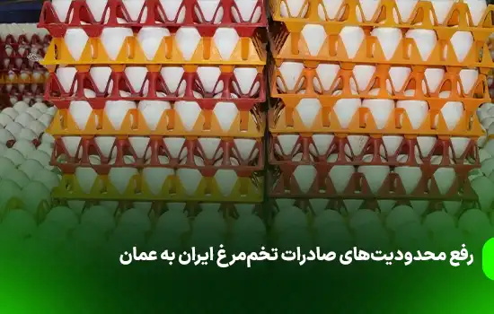 رفع محدودیت‌های صادرات تخم‌مرغ ایران به عمان