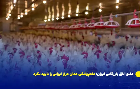 عضو اتاق بازرگانی ایران: دامپزشکی عمان مرغ ایرانی را تایید نکرد 12 عضو اتاق بازرگانی ایران: دامپزشکی عمان مرغ ایرانی را تایید نکرد