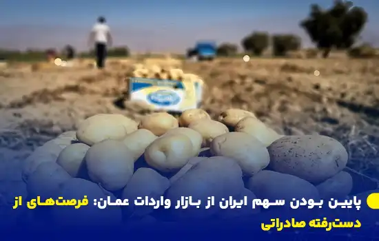 پایین بودن سهم ایران از بازار واردات عمان: فرصتهای از دسترفته صادراتی 8 تصویری از برداشت سیبزمینی در یک زمین کشاورزی با تمرکز بر محصولات و محو شدن تصویر در پسزمینه.