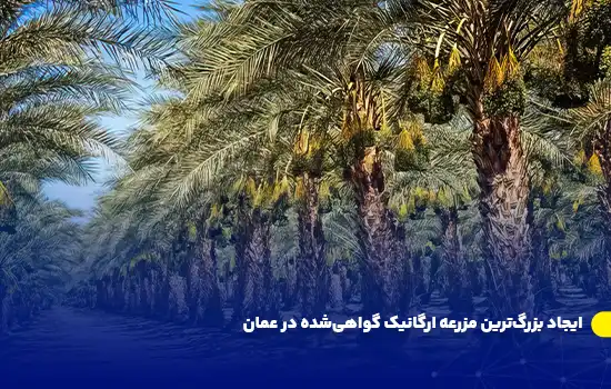 ایجاد بزرگترین مزرعه ارگانیک گواهیشده در عمان 3 ایجاد بزرگترین مزرعه ارگانیک گواهیشده در عمان