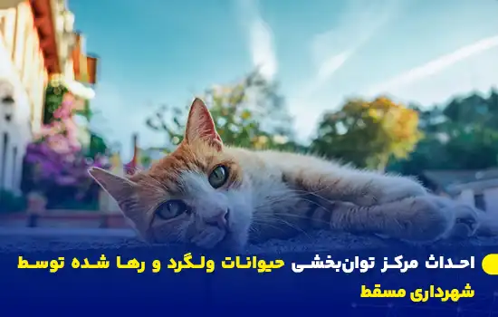 احداث مرکز توانبخشی حیوانات ولگرد و رها شده توسط شهرداری مسقط 3 establishment of stray animal rehabilitation center by muscat municipality