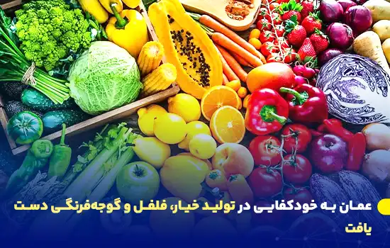 عمان به خودکفایی در تولید خیار، فلفل و گوجهفرنگی دست یافت 1 oman achieves self sufficiency in cucumber pepper and tomato production
