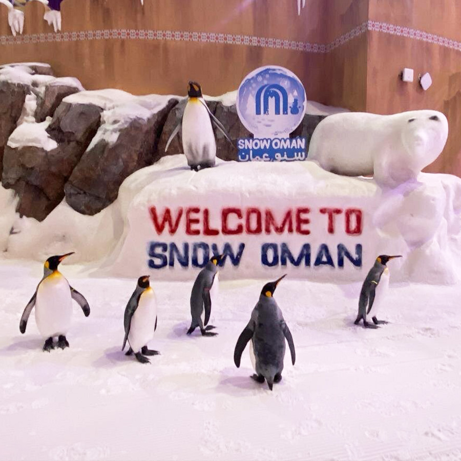 snow oman adds penguin encounter to its family programs en
